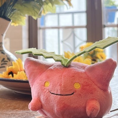 あかさんのプロフィール画像