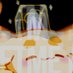𝖒𝖊𝖊𝖙𝖒𝖊_ 3D comms are closed atm~ (@meetme_x) Twitter profile photo 𝖒𝖊𝖊𝖙𝖒𝖊_ 3D comms are closed atm~ (@meetme_x) Twitter profile photo