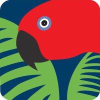 Rainforest Rescue(@RFR_AU) 's Twitter Profileg