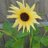 JohnCla93245647's profile image