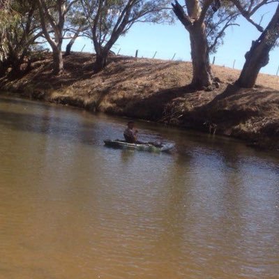 rfl812's profile picture. what I write on Twitter ,may be BULL SHIT. You make your own mind up