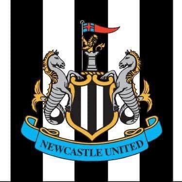 BryanTait6's profile picture. Self Employed Taxi Driver and Racehorse owner with Ursa Major Racing. TOON ARMY fan