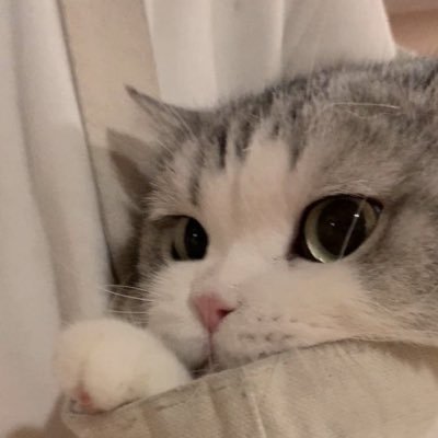 𝑴さんのプロフィール画像