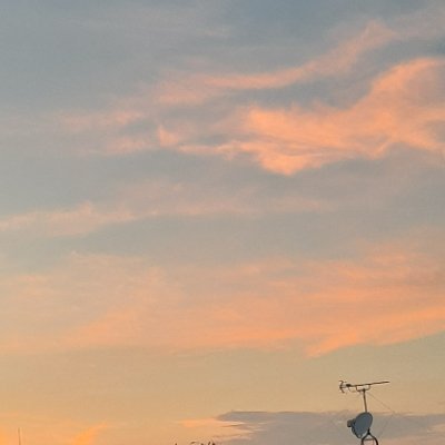 やぎさんのプロフィール画像