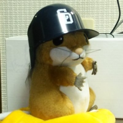 謎解き、ドラクエ、KH、中日ドラゴンズが好きな中年のおっさんです 他の人が作った謎を解くのが好きなのであって、自分で作るほどの創作力は全くないです(T_T)