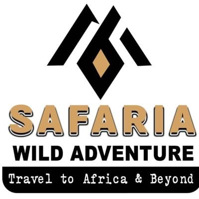 Travel to Africa and Beyond