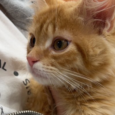 stefi_ma91's profile picture. Ce qui t’attends est bien plus merveilleux que ce qui est derrière toi. 25y