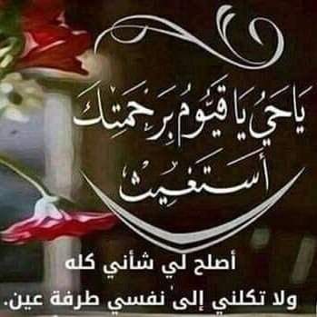 AliXirsi60's profile picture. 