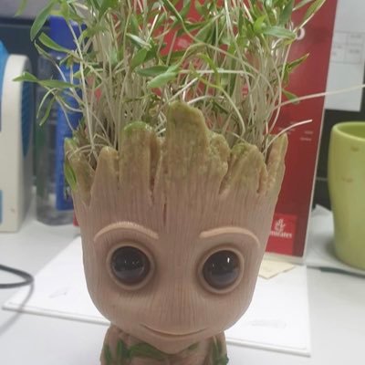 Harsh77584698's profile picture. Works as an Design Freelancer