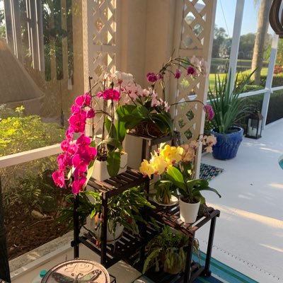 nettiejkb's profile picture. 