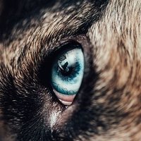 gooda(💙,🧡).fuel (@ghbgjhukk) 's Twitter Profile