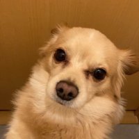 こんすけ/データマーケティング、新規営業の仕事 (@konsuke20180321) 's Twitter Profile
