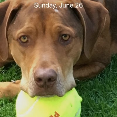 Duuudeley's profile picture. 