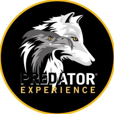 Predator Experience offers interactive raptor and mammal experiences in the Lake District National Park, Cumbria. Gift Experience/Education/Media/Tourism.