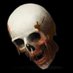 Skull From RUST (@Scientist283) Twitter profile photo