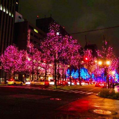 susikurabusakai's profile picture. #裏垢男子 #マン凸#パイ凸大歓迎 #裏垢女子#ドMです いじめて欲しいです #野外露出 #野外オナニー #調教課題