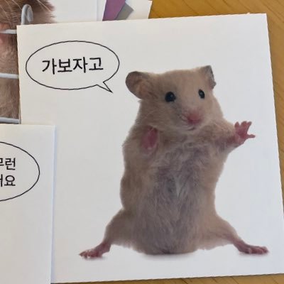 시카고 a,c 뱃지 관부연락선 스토리북