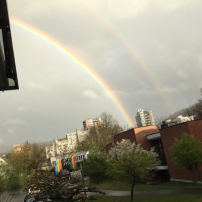 Mustafa1unutmaz's profile picture. 