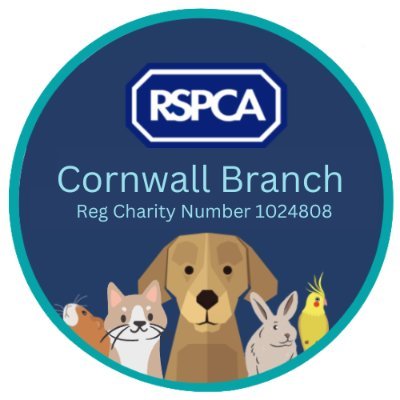 RSPCA Cornwall is a branch of the RSPCA which is self funded. We are dedicated to finding animals in our care their forever homes.