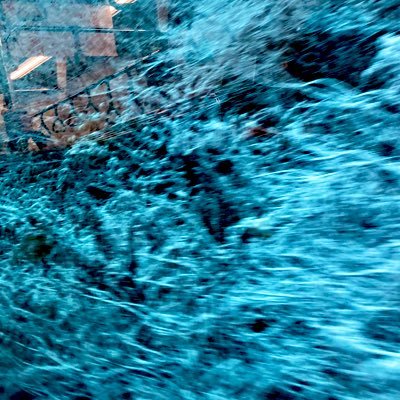 mayaakamirrors's profile picture. 生きとし生けるものが皆、しあわせでありますように。