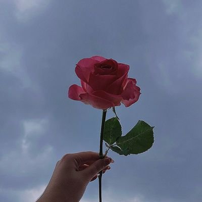 __deadfeelings's profile picture. place to rant