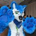 Crazy Wolf 🐾 (@Crazywuff1) Twitter profile photo