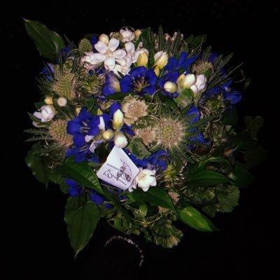 haribo_yu's profile picture. 芝生が大好き🌱最近はお洋服も！