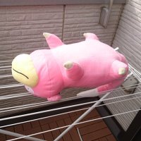 震えるこの胸🐘ッサミー (@msami_tama) 's Twitter Profile