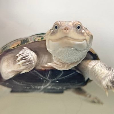 まきさんのプロフィール画像