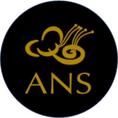 ANSneurotology Profile Picture