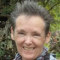Annette Gartland (@netpoette) 's Twitter Profile