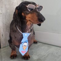 Brenu (@breno_spies) 's Twitter Profile