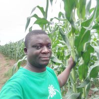 Mendral chitongo (@mendralchitongo) 's Twitter Profile