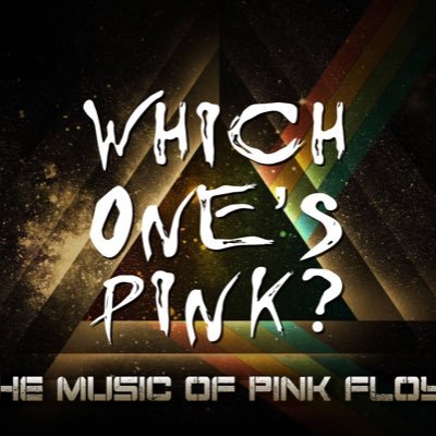 Which One's Pink?, a critically acclaimed Pink Floyd tribute band based in Southern California