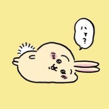 彩
