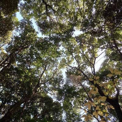 テックキャンプ149期 30代未経験でWEBエンジニアを目指しテックキャンプ卒業しプログラミング勉強中です😊
日々勉強している内容をアウトプットしていこうと思います🤗✨