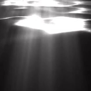 JoeyOfTheWolves's profile picture. Omni/91 line/Call me by what ever you feel comfortable with 😉 I have no intention of choosing anything if I don't have to. Pronouns wise at least. 🏳️‍🌈