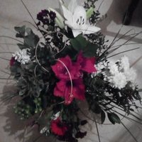 Mino (@lohoudominique) 's Twitter Profile