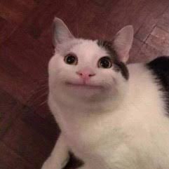 teknas231's profile picture. …..