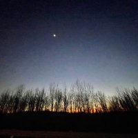 ZZLD (@reethinksfuture) 's Twitter Profile