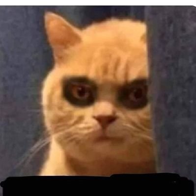 HarisjeJ's profile picture. 