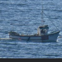 CrabbySkipper (@crabbyskipper) 's Twitter Profile