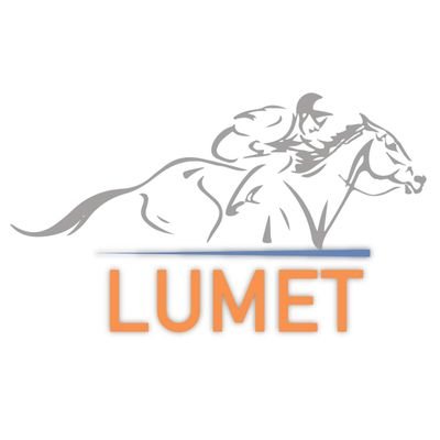 Show Lumet | Vente de chevaux de courses