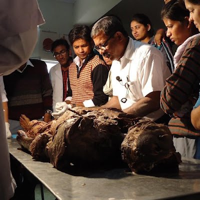 DrVikrant007's profile picture. Doctor/Homeopathic Pediatrician