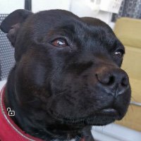 Manuel De Arcos Rodriguez (@srdearcos) 's Twitter Profile