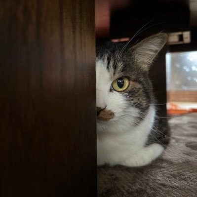 runrunrun32123's profile picture. 