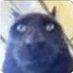 idek (@yosoydaianarroz) Twitter profile photo idek (@yosoydaianarroz) Twitter profile photo