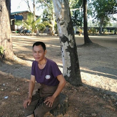 dragonisland7's profile picture. 