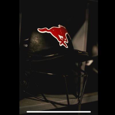 OFFICIAL 2025 Manor Mustang Softball Account š„ #LOCKEDIN #WAMM