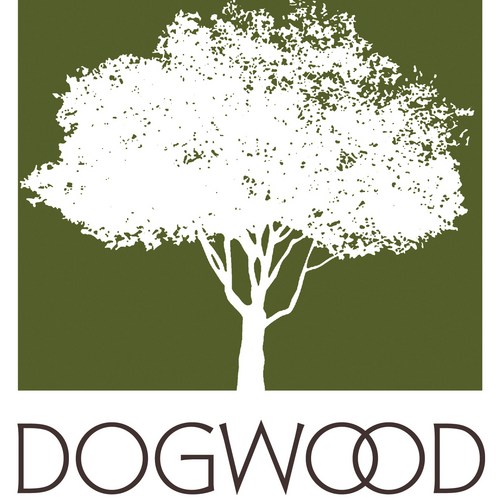 Founder of Dogwood Engineering in Charlotte, NC